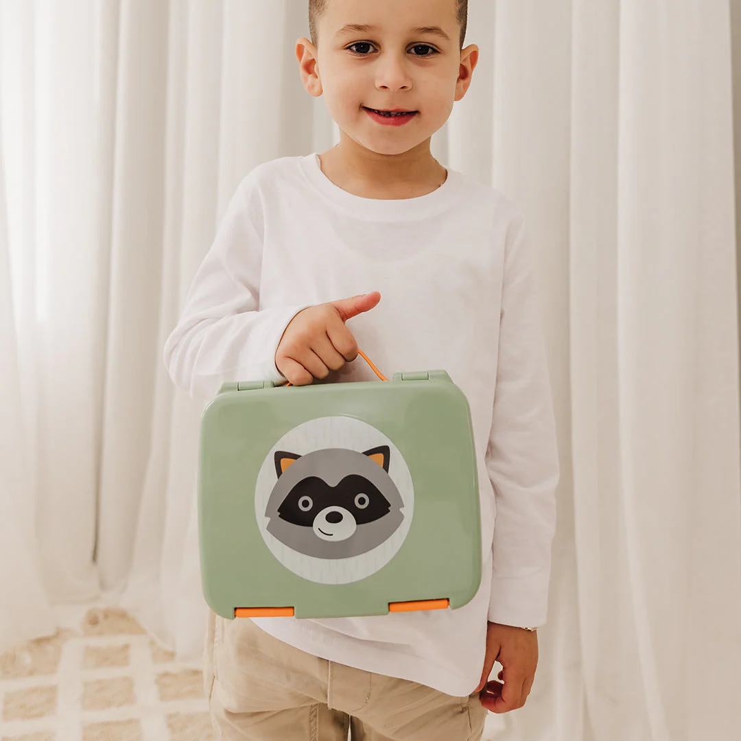 Rudy Raccoon Zoo Bento Lunch Box - Image 13